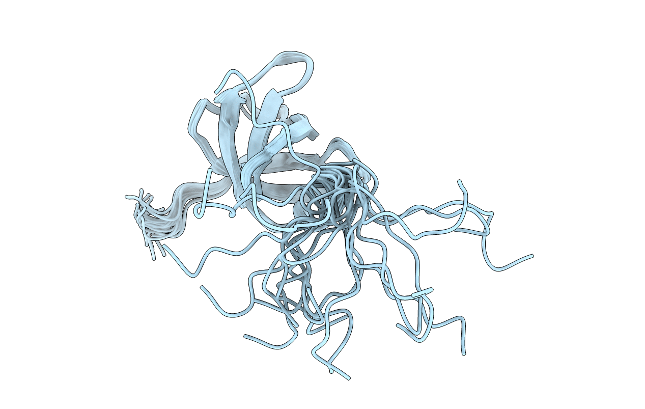 2EXD image