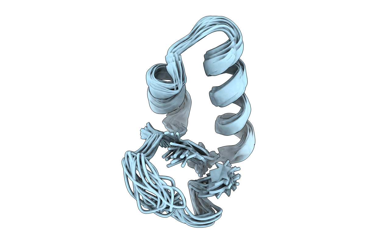 2EYC image