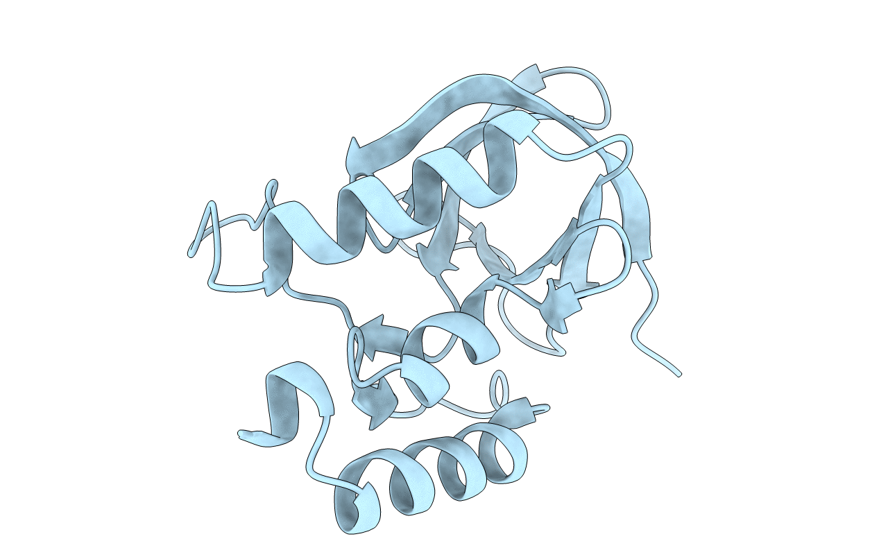 2EYP image