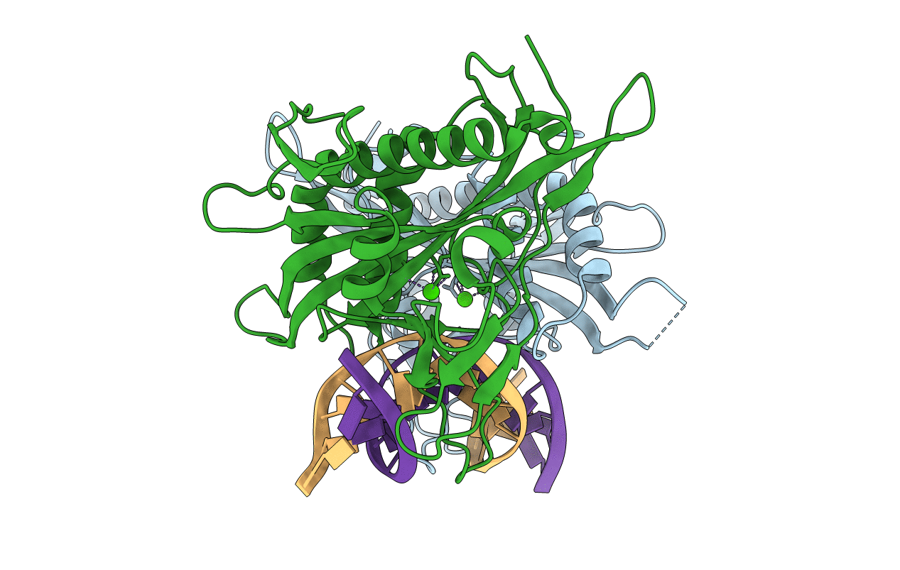 2EZV image