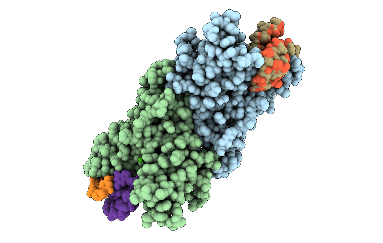 2F03 image