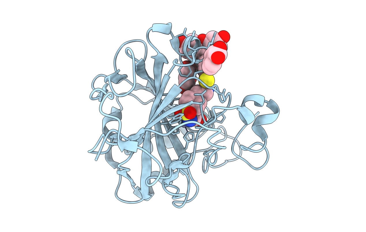 2F14 image