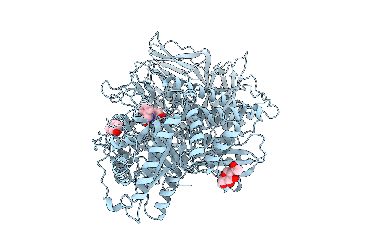 2F1A image