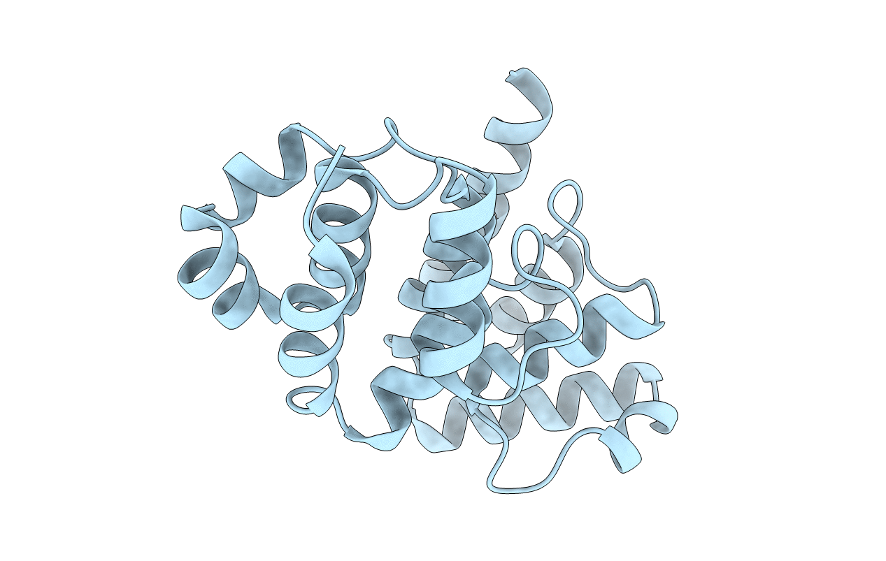 2F1S image