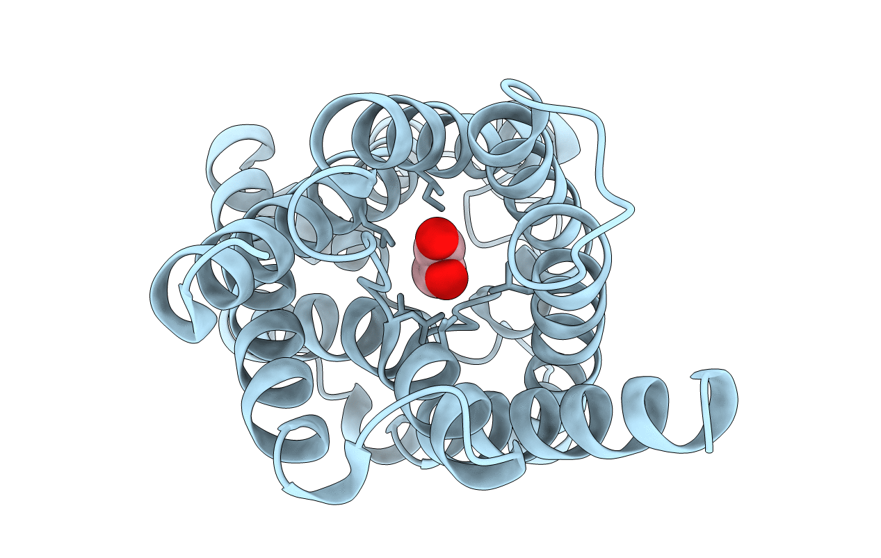 2F2B image