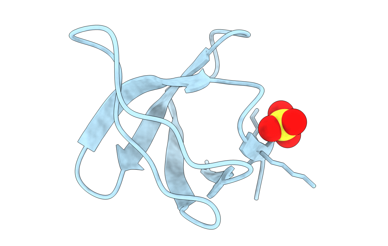 2F2X image