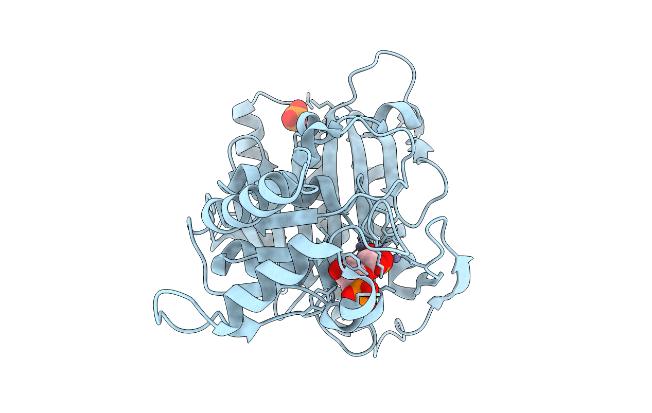 2F3B image