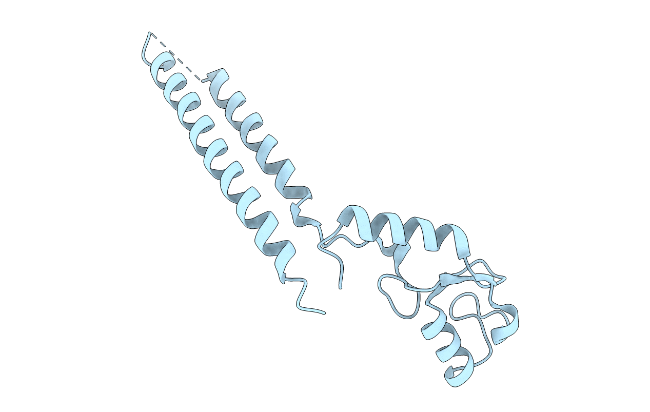 2F42 image