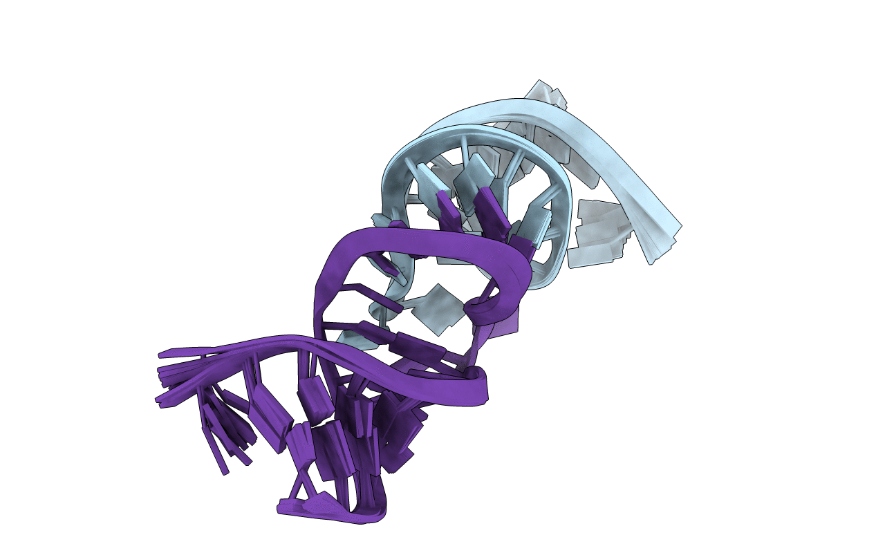 2F4X image
