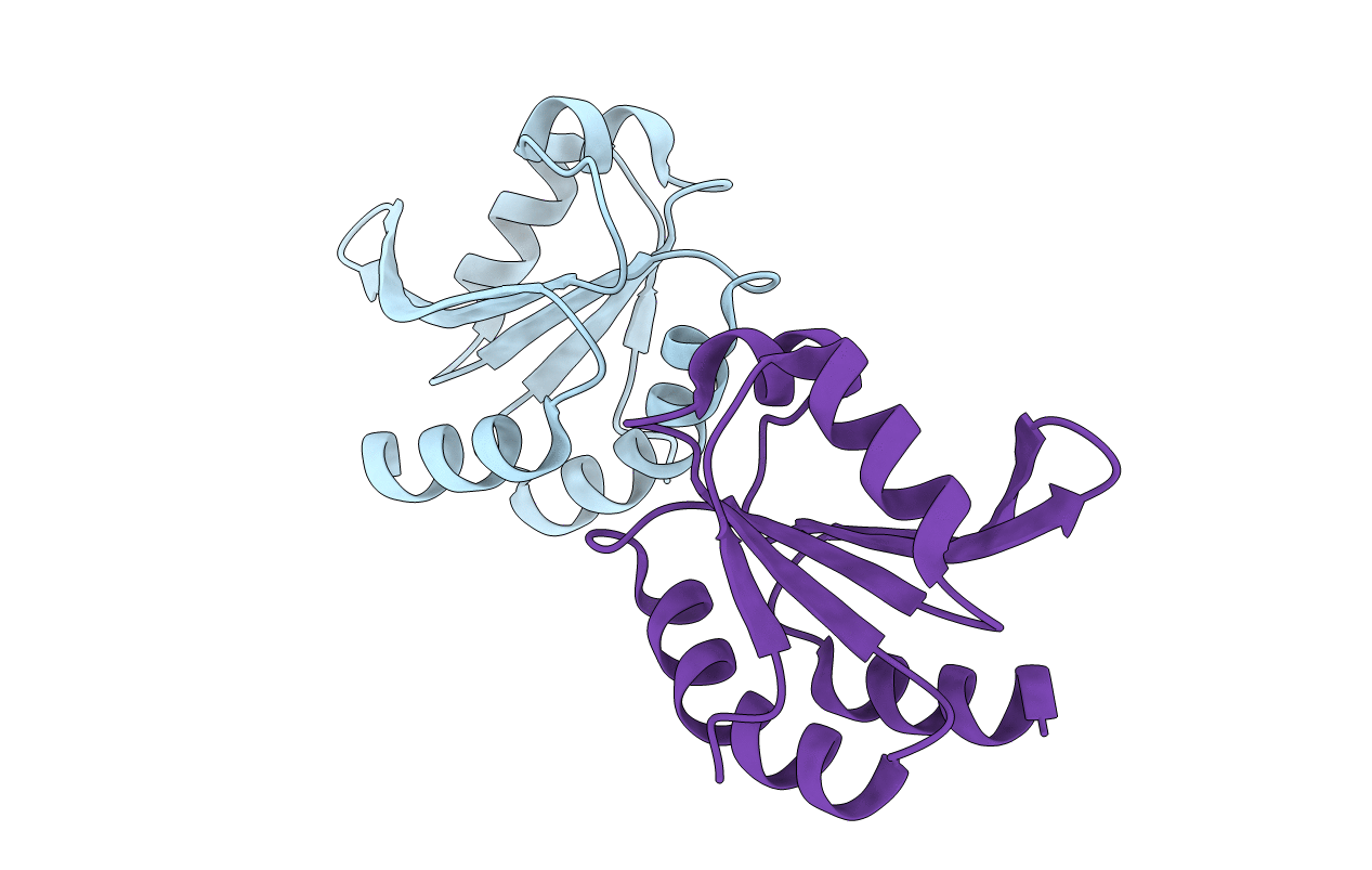 2F51 image