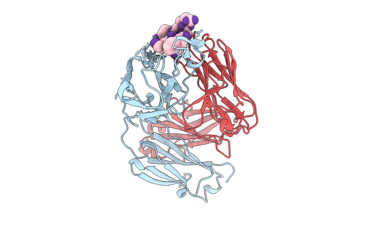 2F5B image