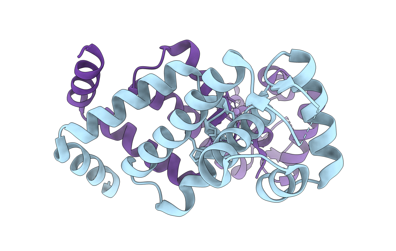 2F5D image