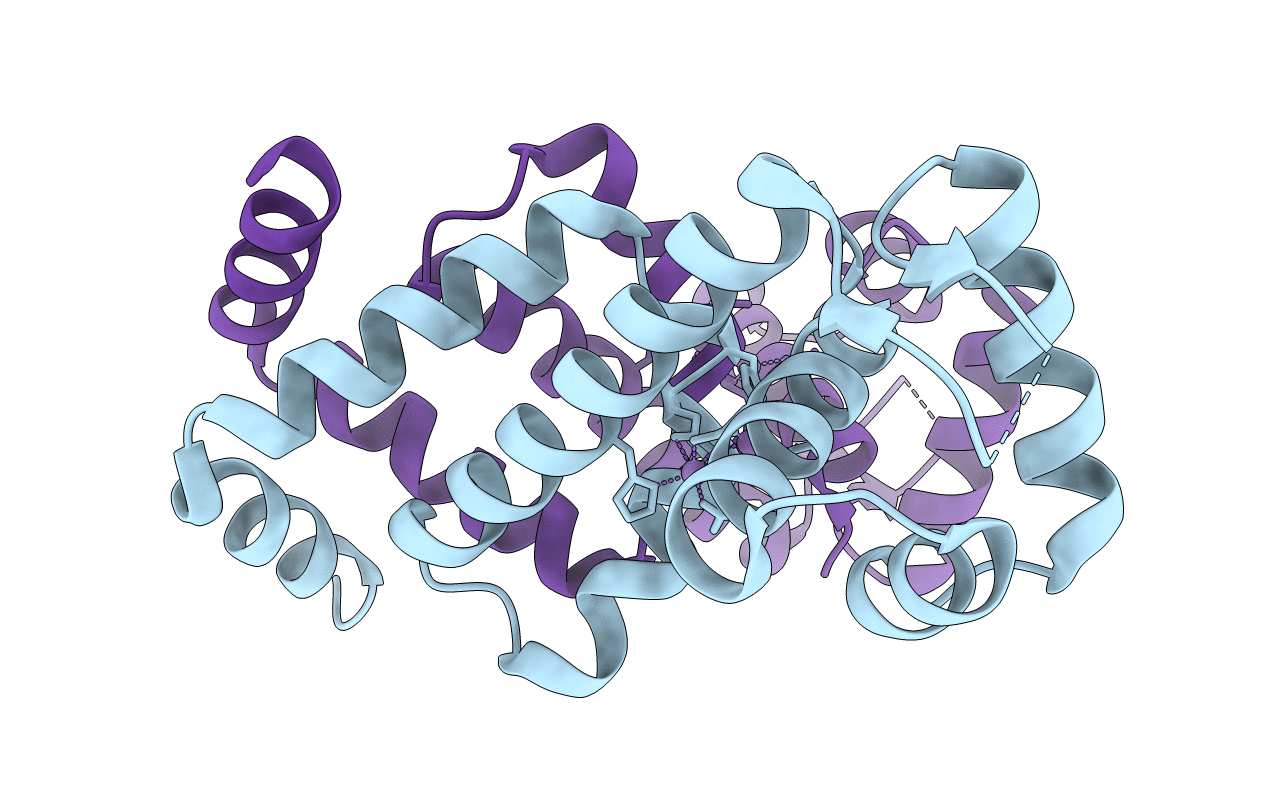 2F5E image