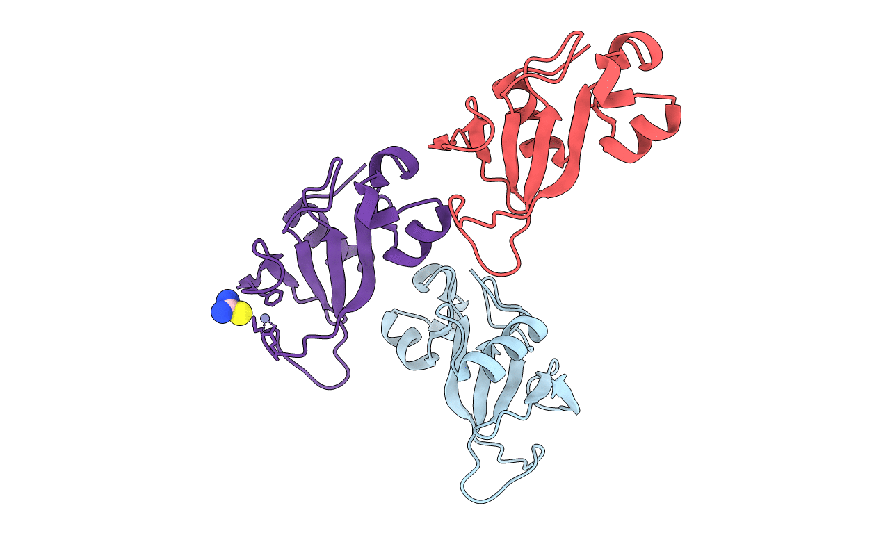 2F5W image