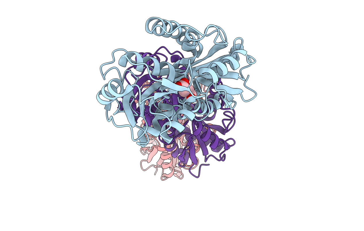 2F5X image