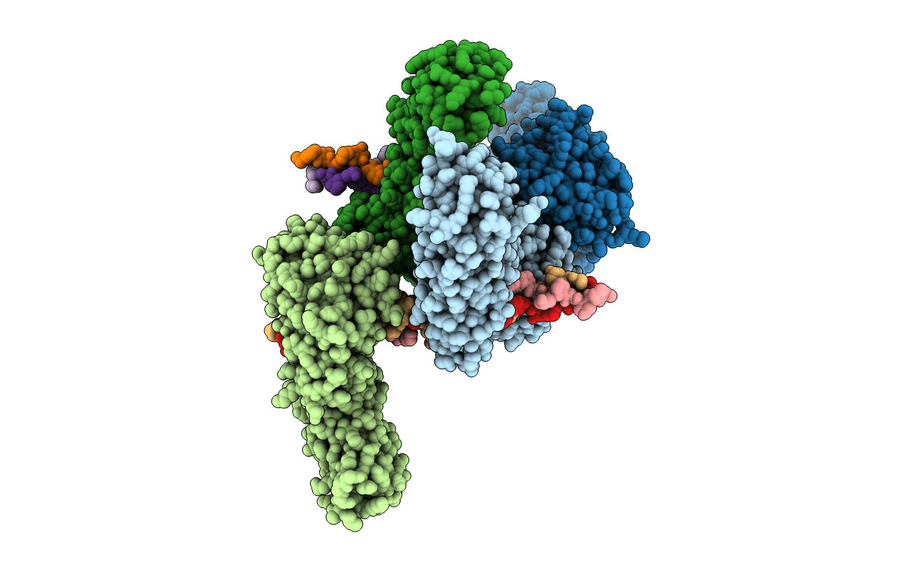 2F6A image