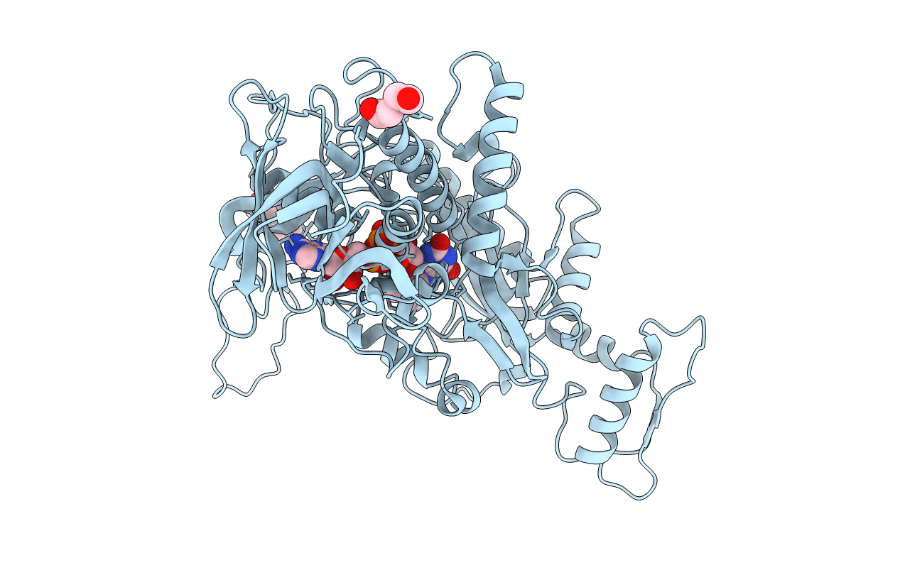 2F6C image