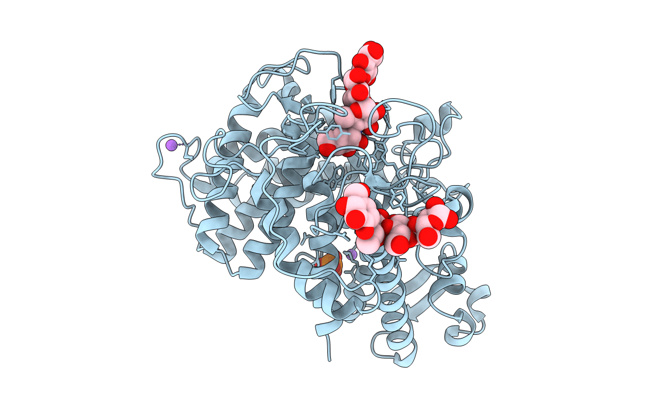 2F6D image