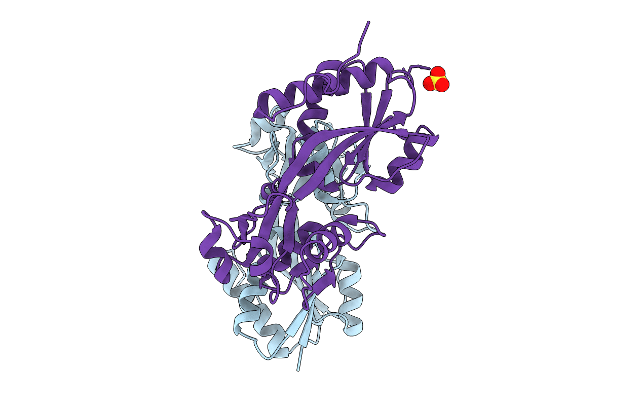 2F6G image