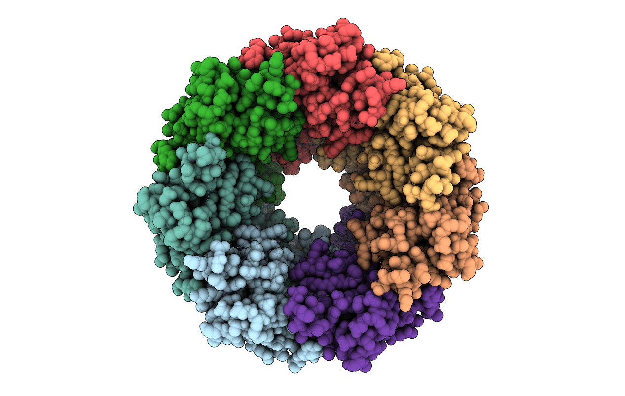 2F6I image