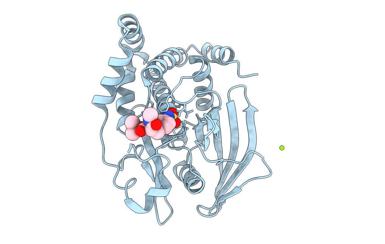 2F6T image