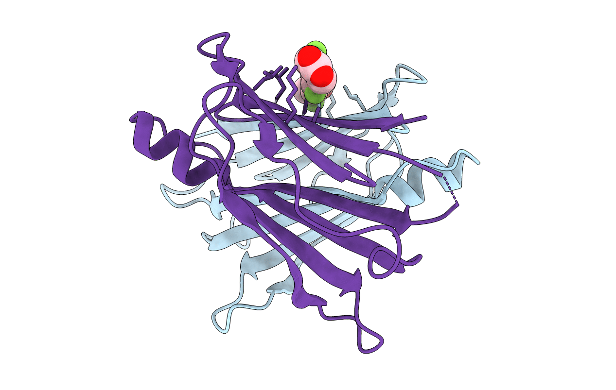 2F7I image