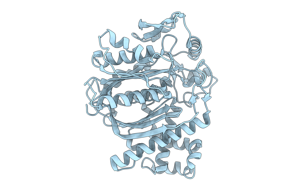 2F82 image