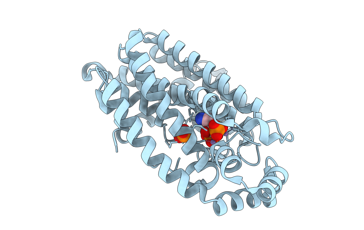 2F89 image