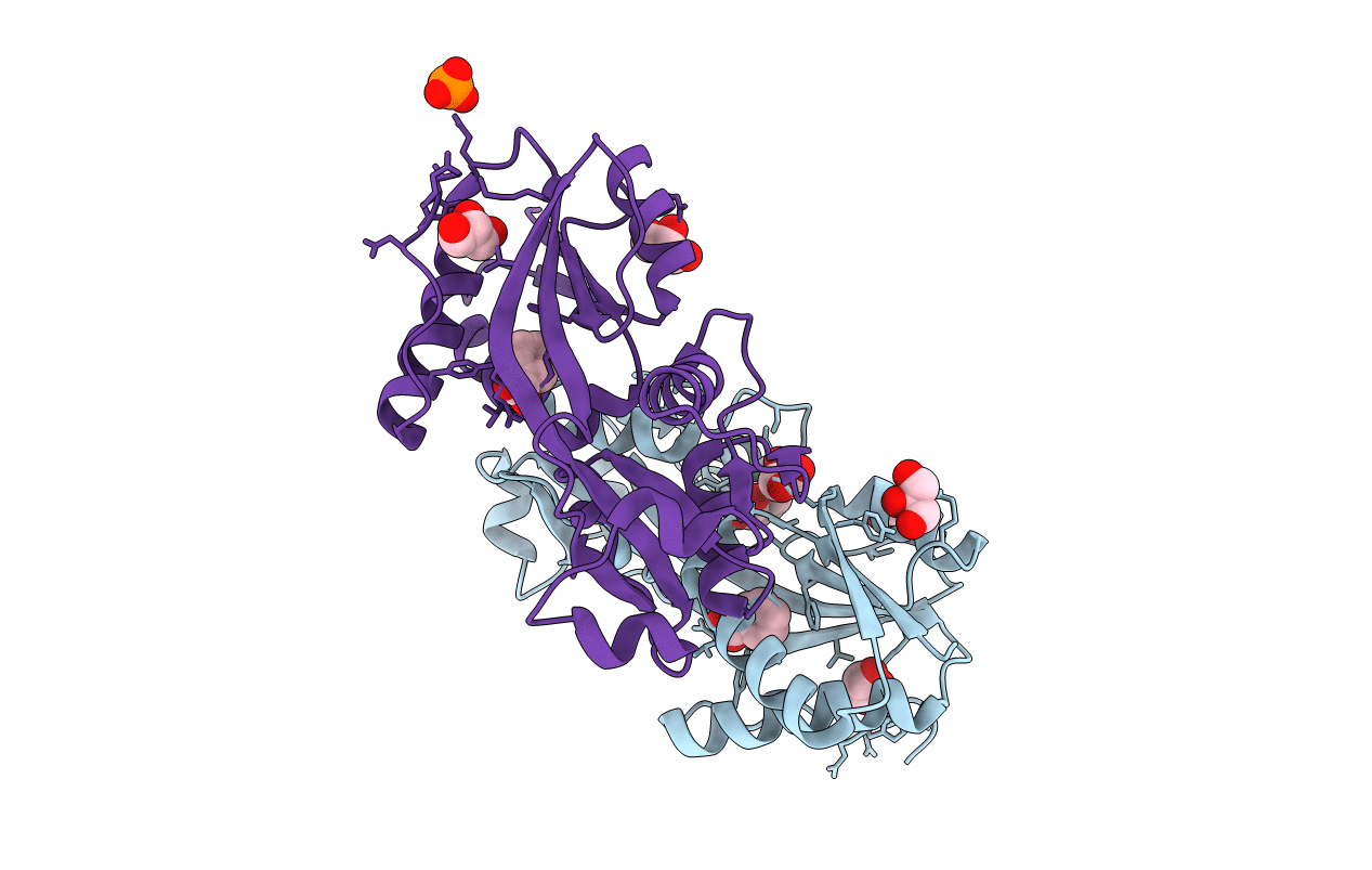 2F8D image