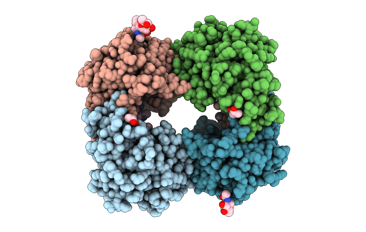 2F9P image