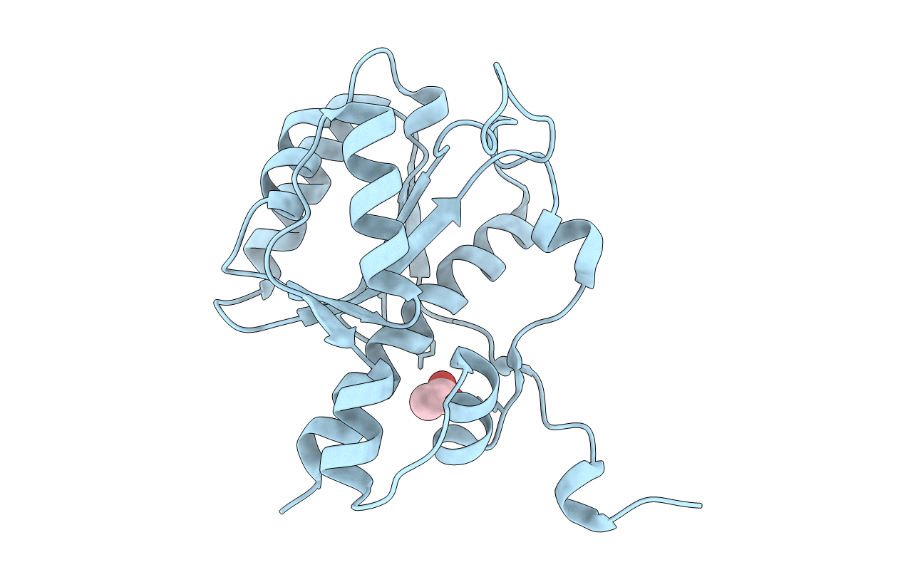 2FBT image