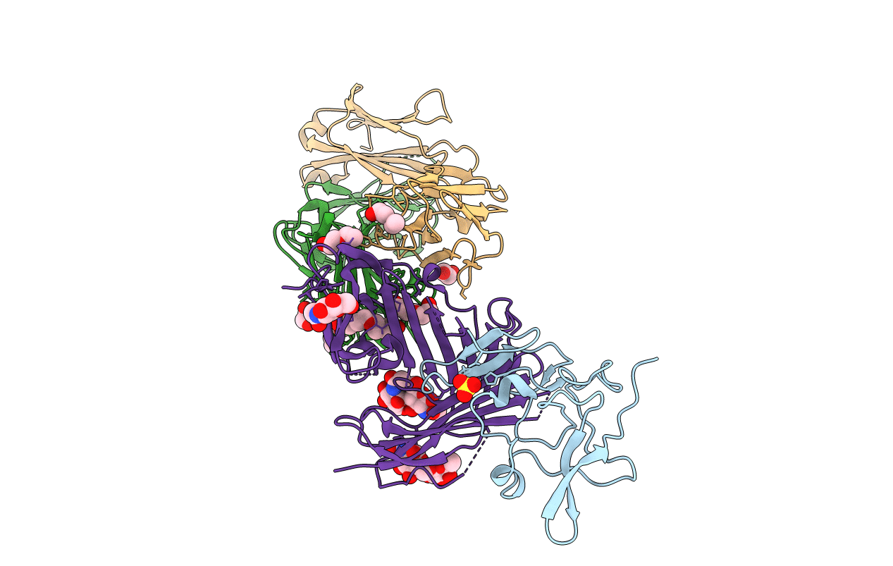 2FD6 image