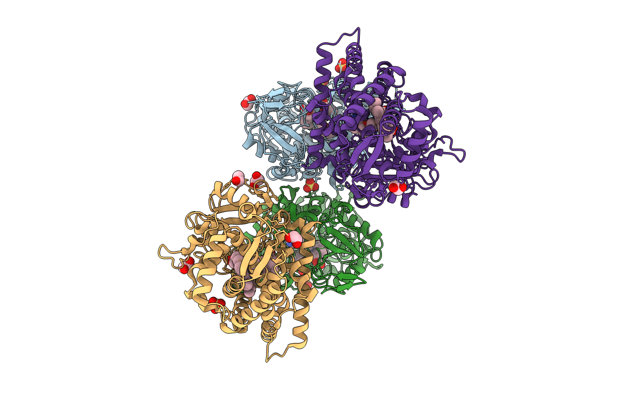 2FDV image