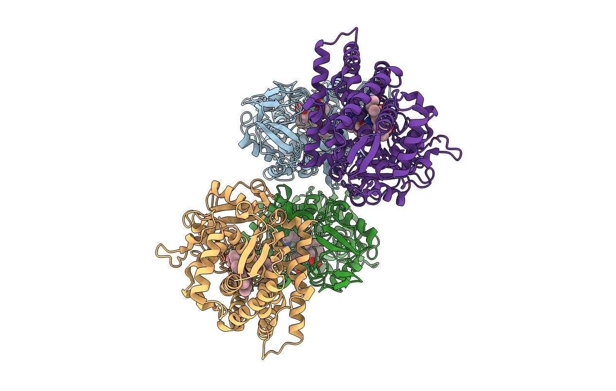 2FDW image