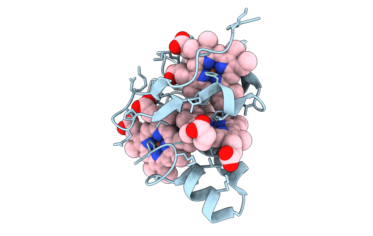 2FFN image