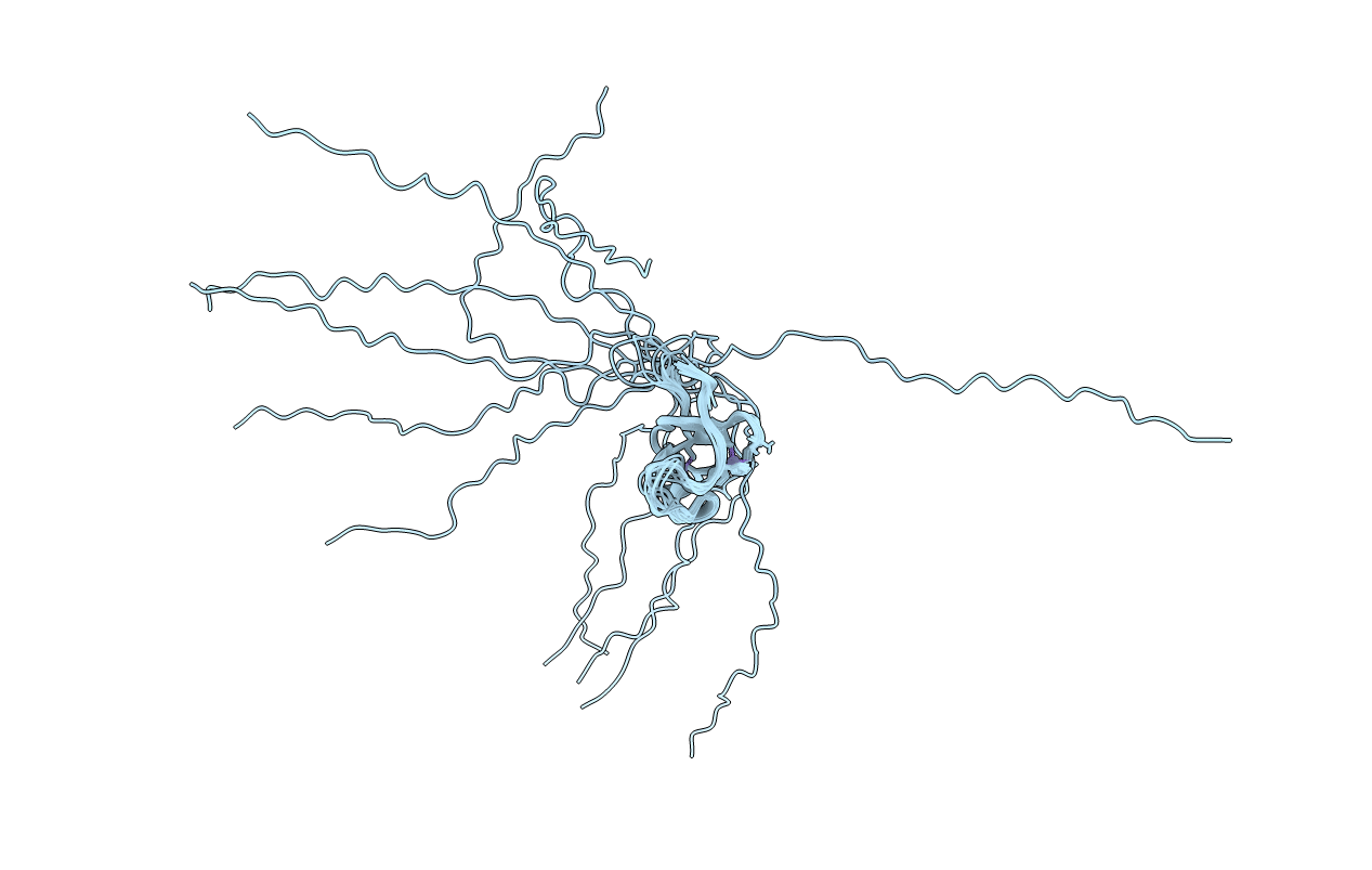 2FFW image