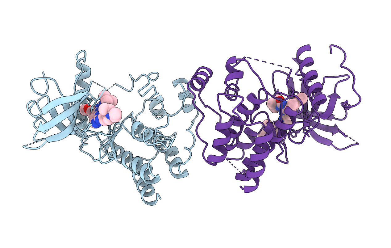 2FGI image