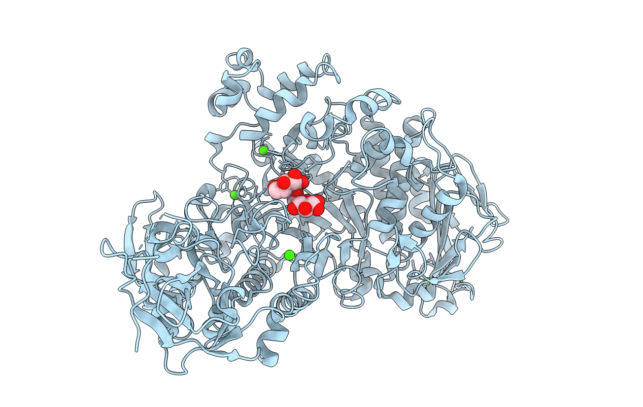 2FH8 image