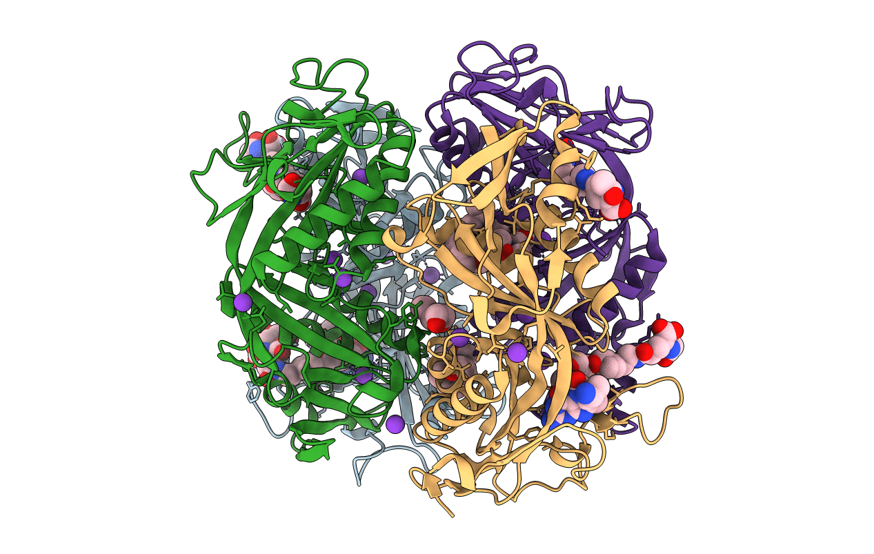 2FHJ image