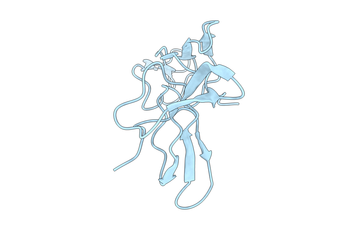 2FJ8 image