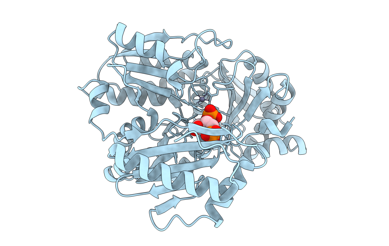 2FKM image