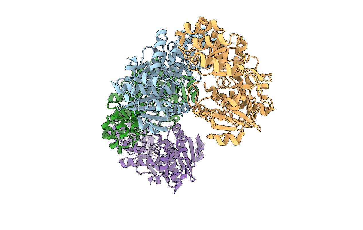 2FKP image