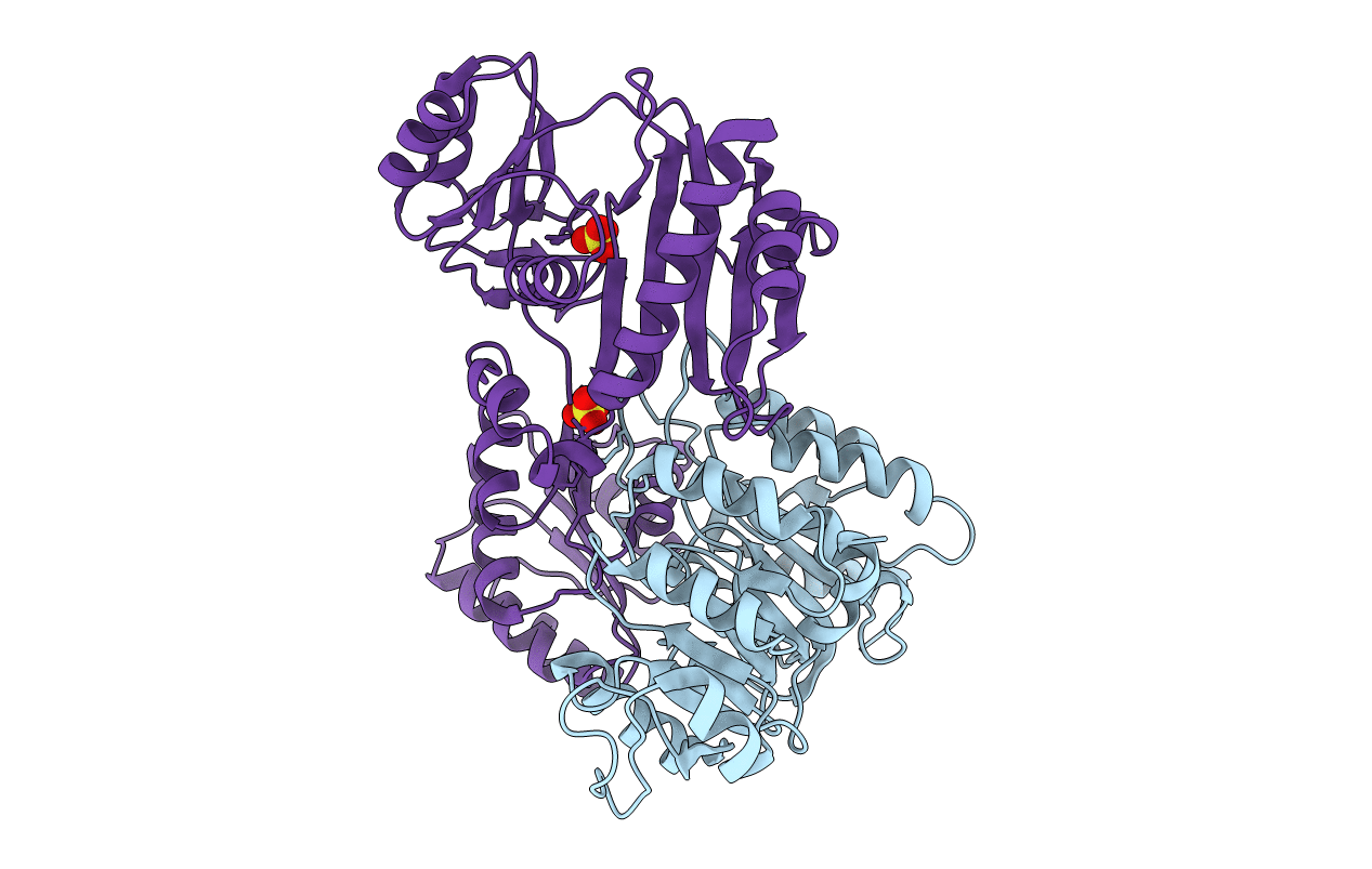 2FPI image