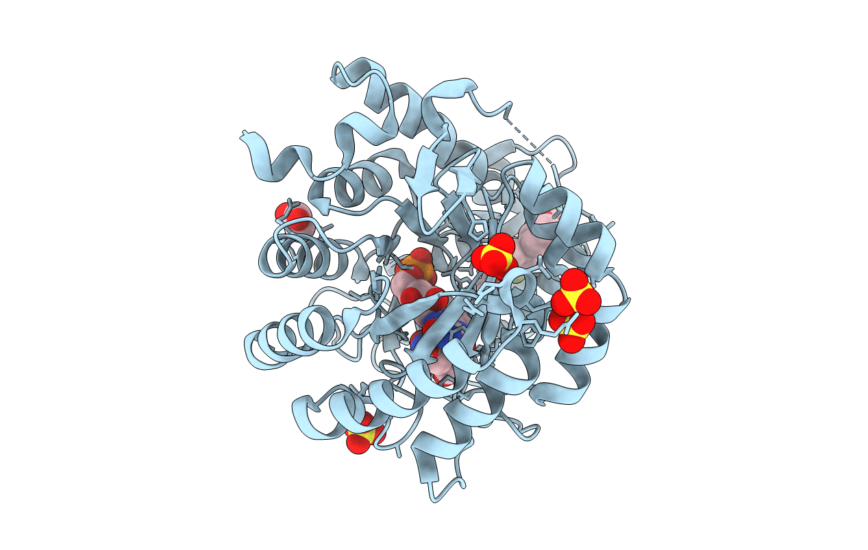 2FPT image