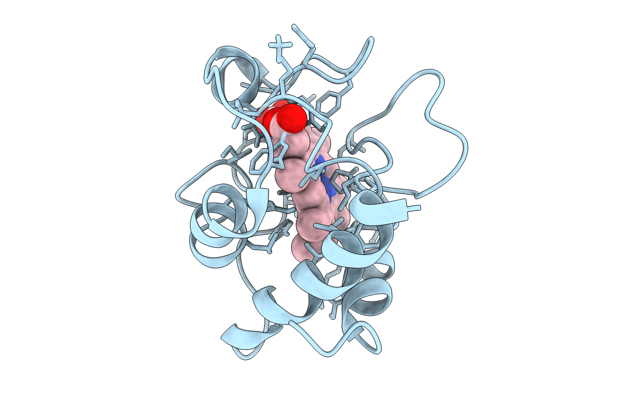 2FRC image