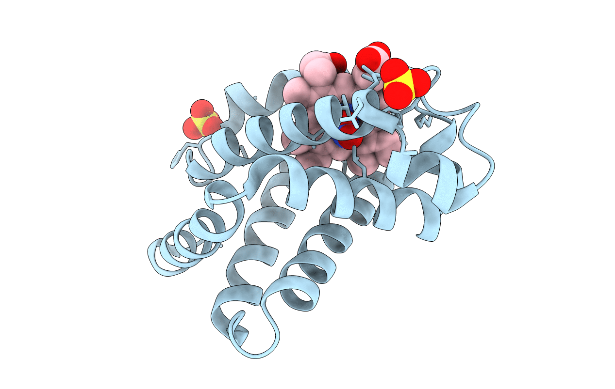 2FRF image