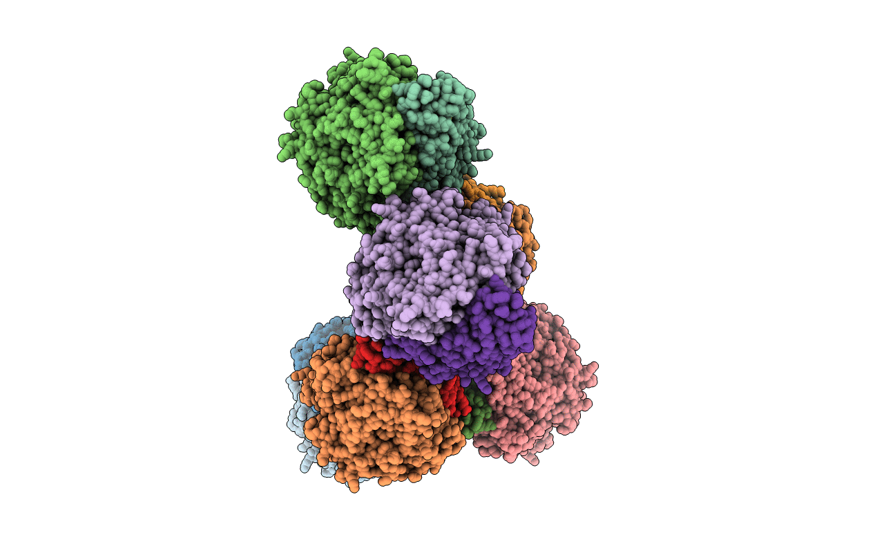 2FRV image