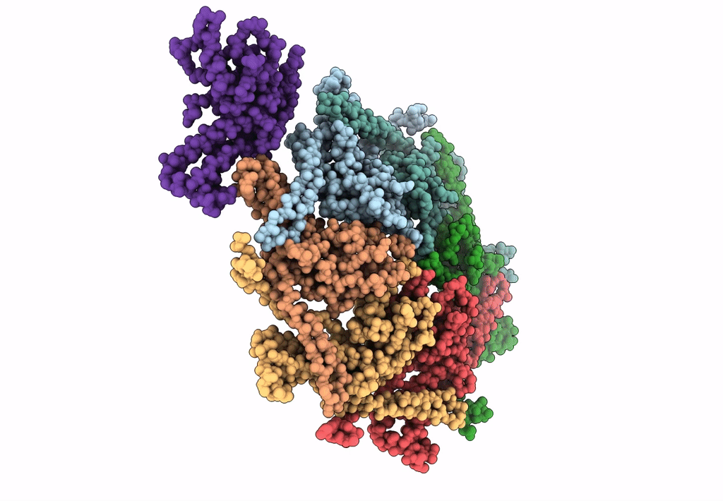 2FTE image