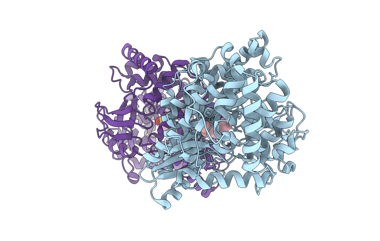 2FVC image