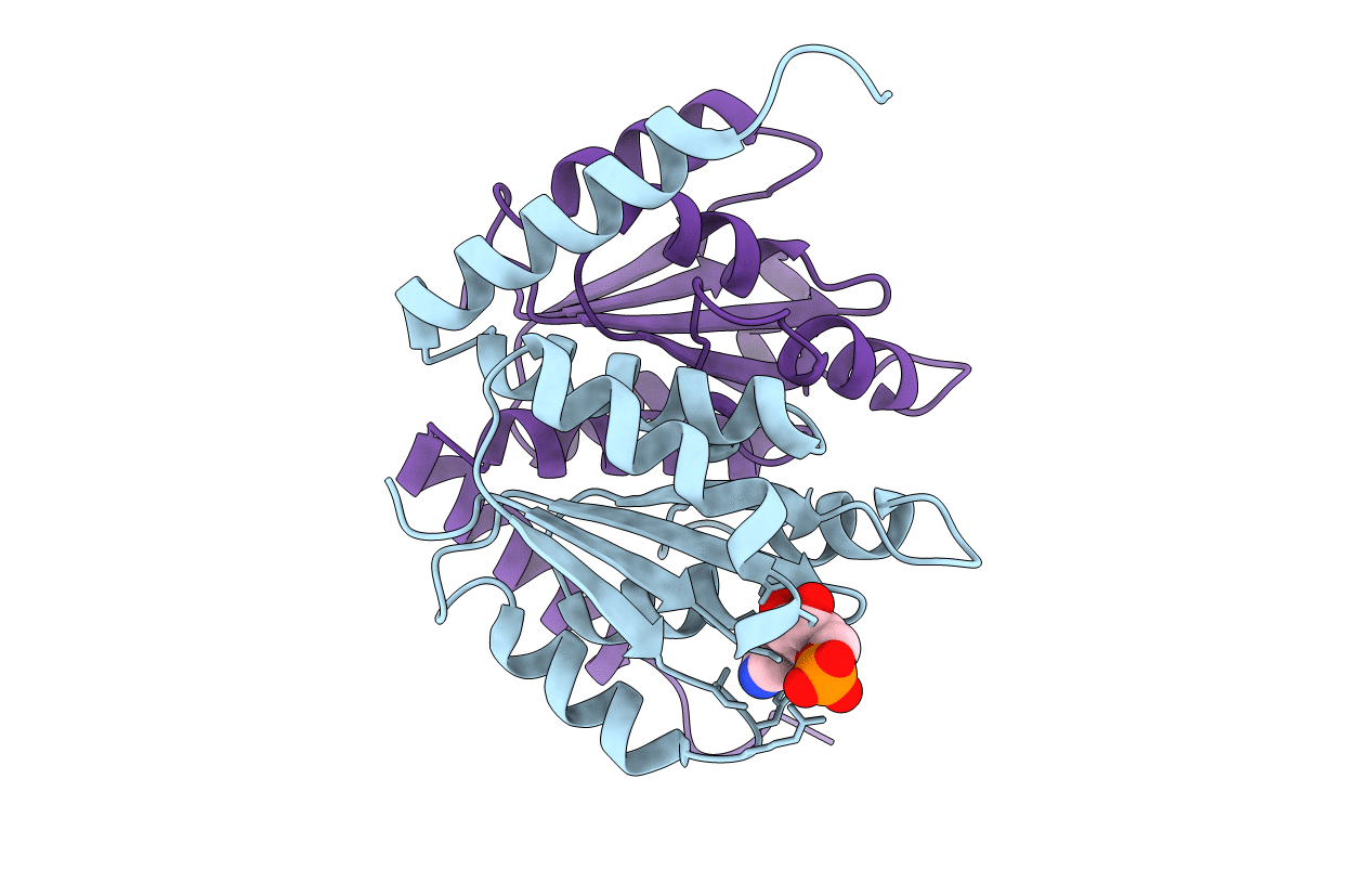 2FWJ image